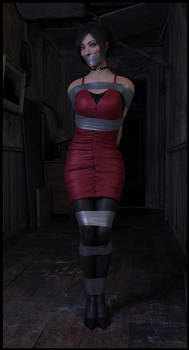Just Ada Wong and duct tape.