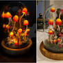 Mushroom Lamp, mushroom night light