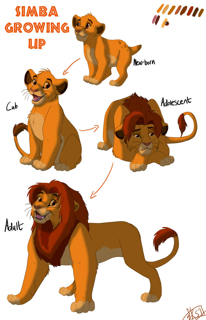 Simba Growing Up by KingSimba on DeviantArt