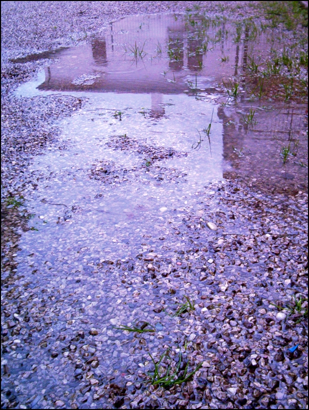 Rain in my backyard