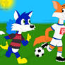 AT: Foxes playing Soccer