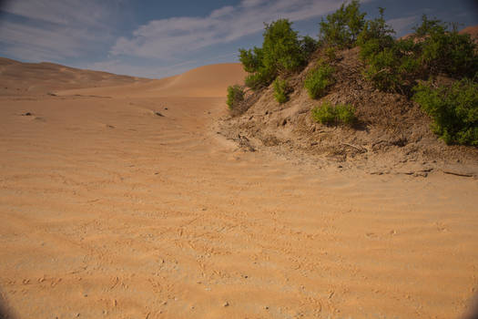 Liwa UAE Desert 3