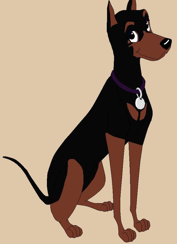 Sienna the Doberman