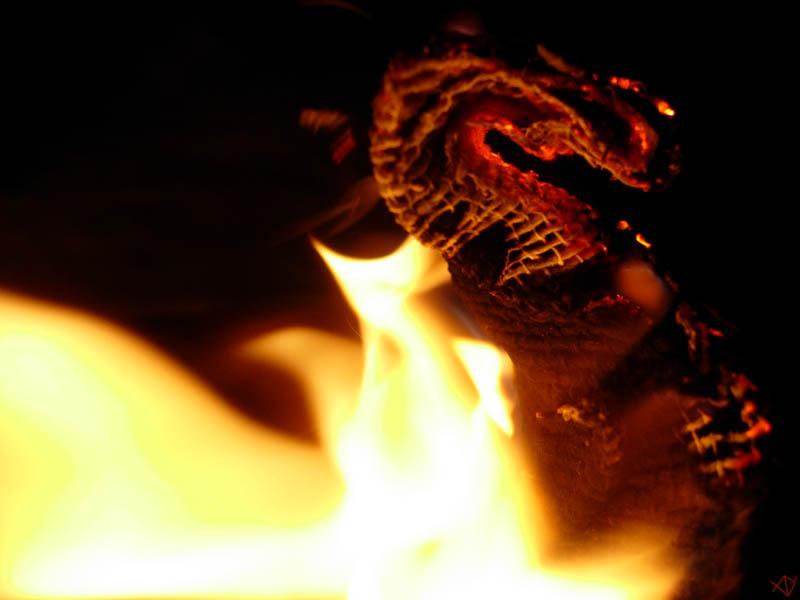 Dragon - fire serie:8