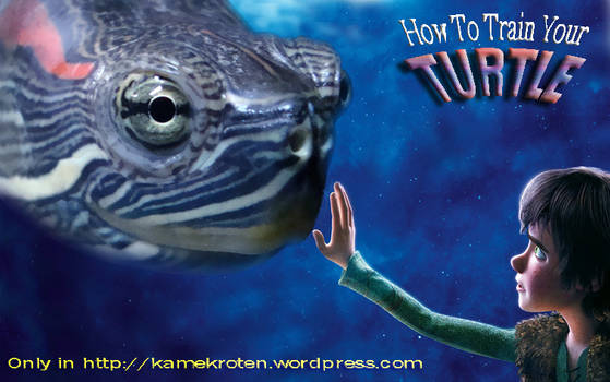 How to train your turtle-kame