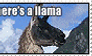 llama llama llama
