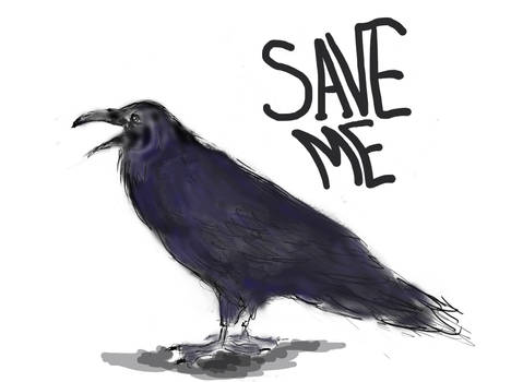 Raven/Save Me