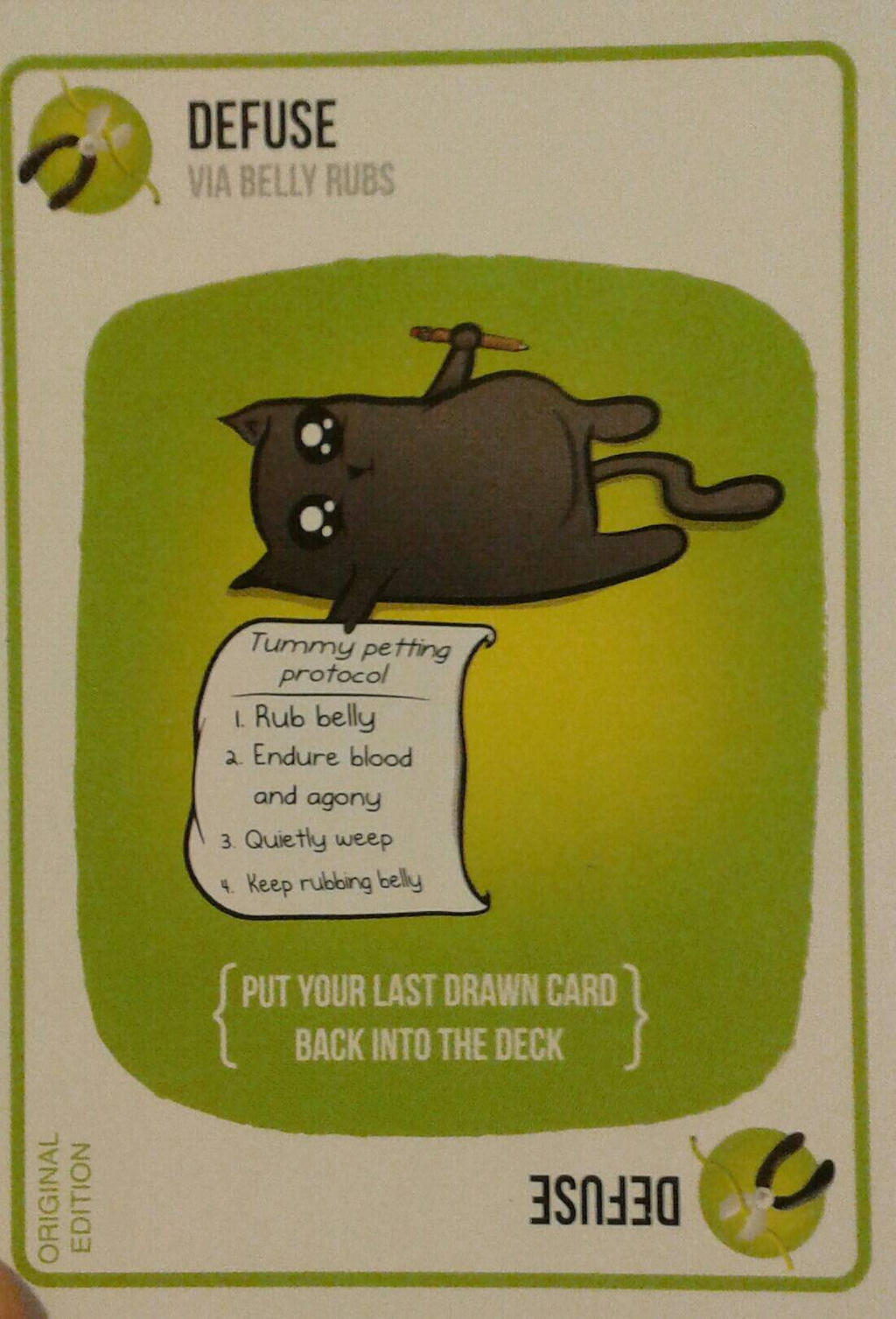 Tummy rub for cats ^v^