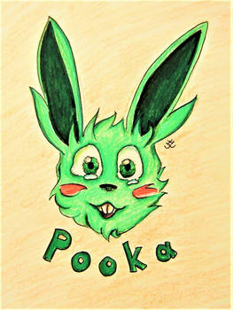 Pooka