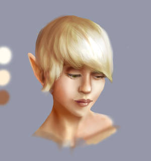 Blonde Elf OC