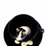 Mouse in a cup II