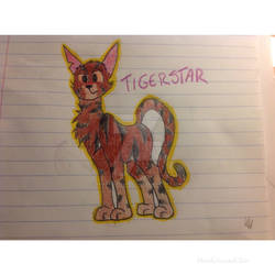 TigerStar sketch