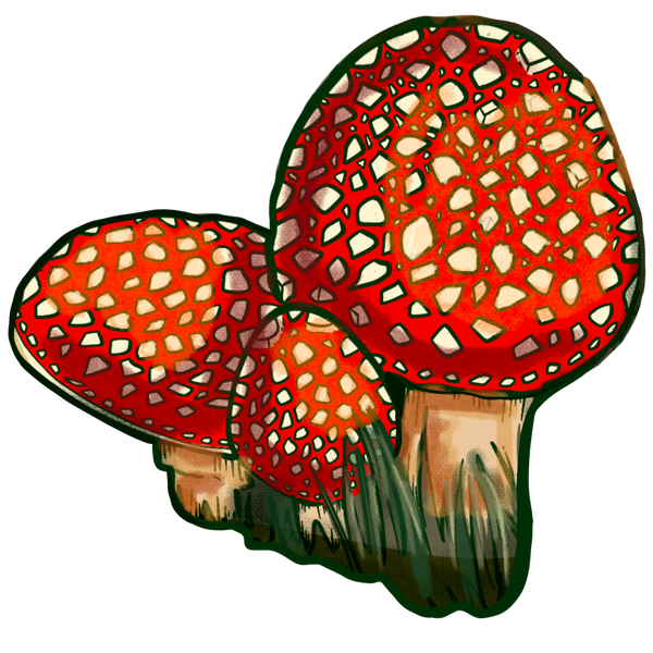 Three Cute Toadstools~! by ainight on DeviantArt