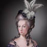 A Tribute to Marie Antoinette
