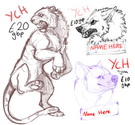 Ychs OPEN