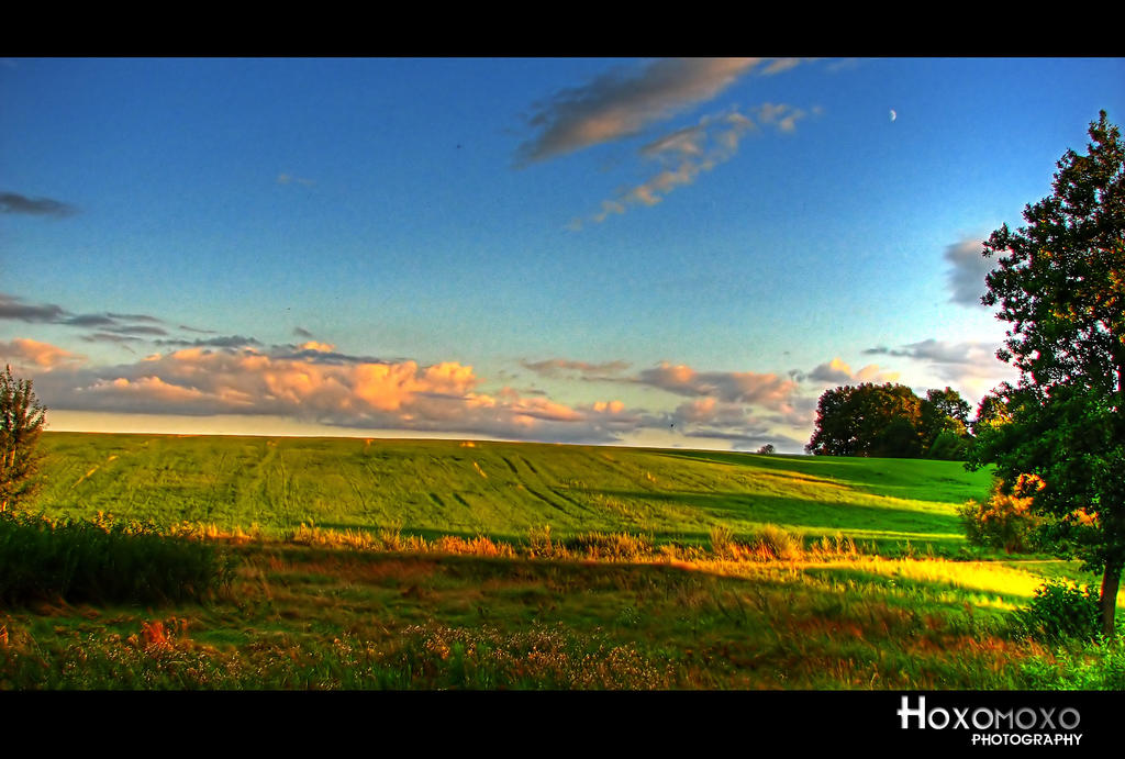 Green Skyline IV