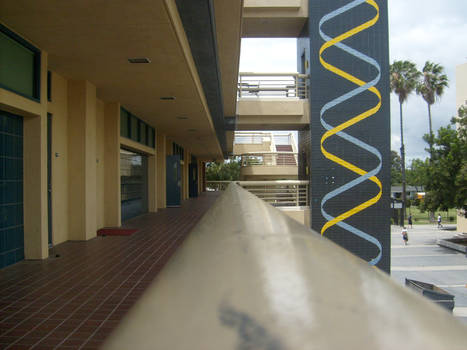 The Science Building