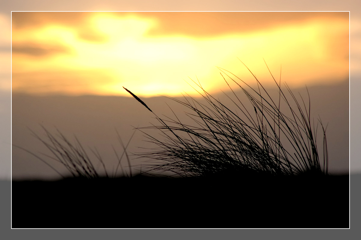 Straw silhouette