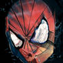 The Amazing Spider-Man 2