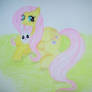 Fluttershy and Angel