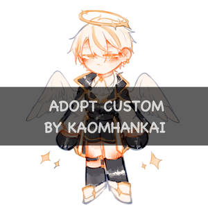 Adopt Custom Work