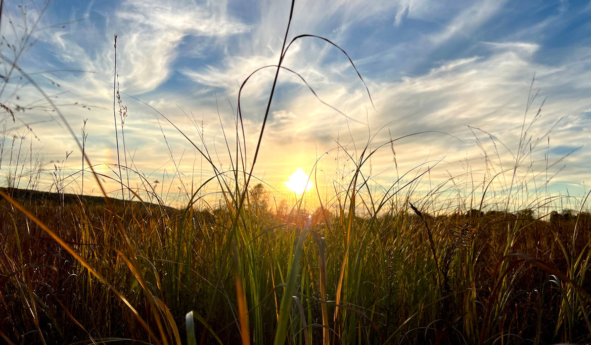 Sunset Less Driftless Sunset by TGarsee on DeviantArt
