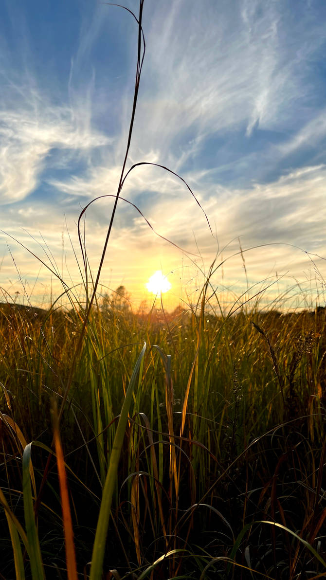 Sunset Less Driftless Sunset by TGarsee on DeviantArt