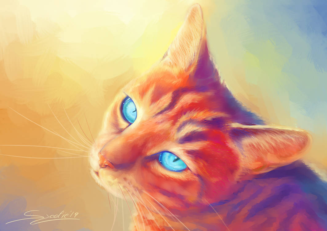 [Request] Colorful cat by Sjoelie