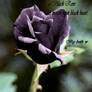 another black rose