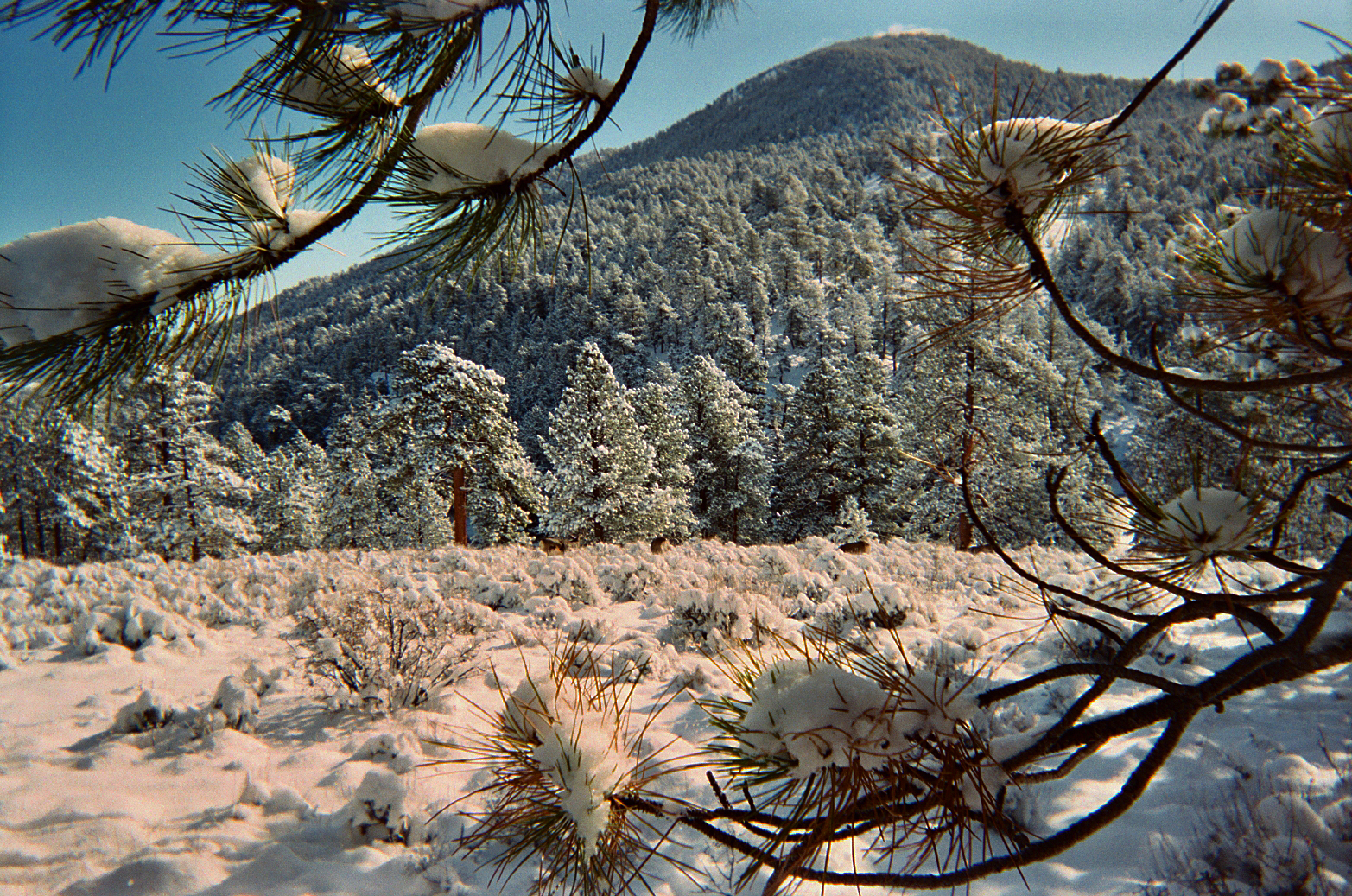 Snowy Mountain