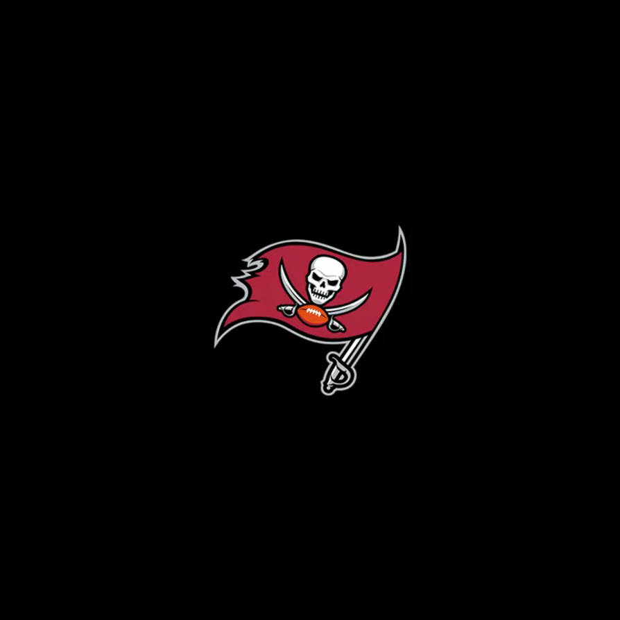 Tampa Bay Buccaneers Logo by BenjiRivera1991 on DeviantArt