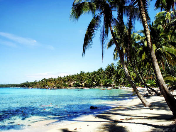 The Beach Wallpaper