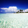 Island Paradise