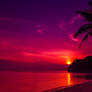 Beach Sunset Wallpaper