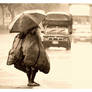 The Woman in the Rain