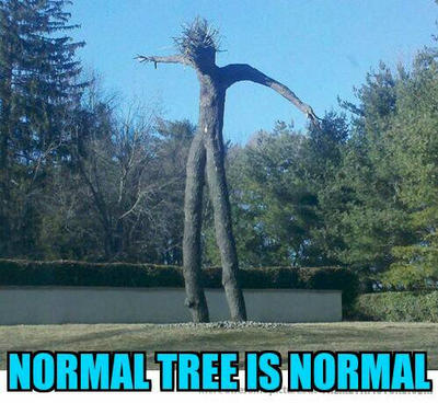 normal tree by psychoteddy18 on DeviantArt