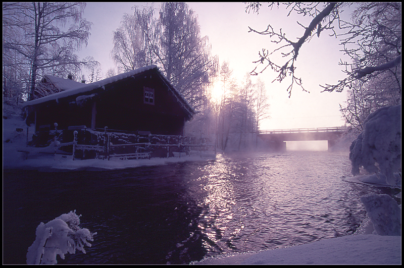 Icy morning