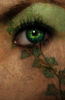 Ivy Eye