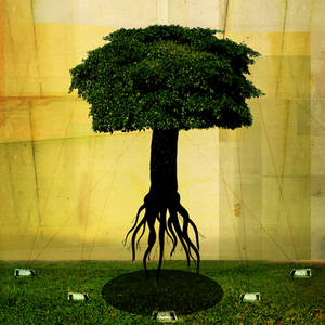 Surreal Tree