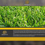 Borduas Pierre Web Design