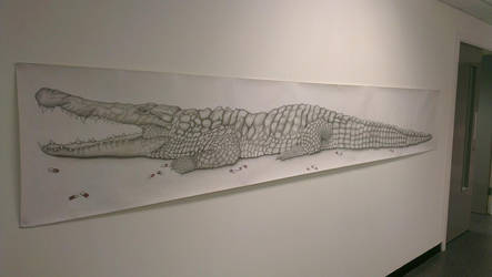 12ft crocodile pencil drawing