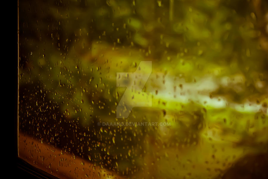 Rain on a window pane.