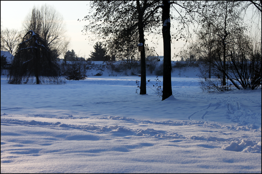 Winter Panorama