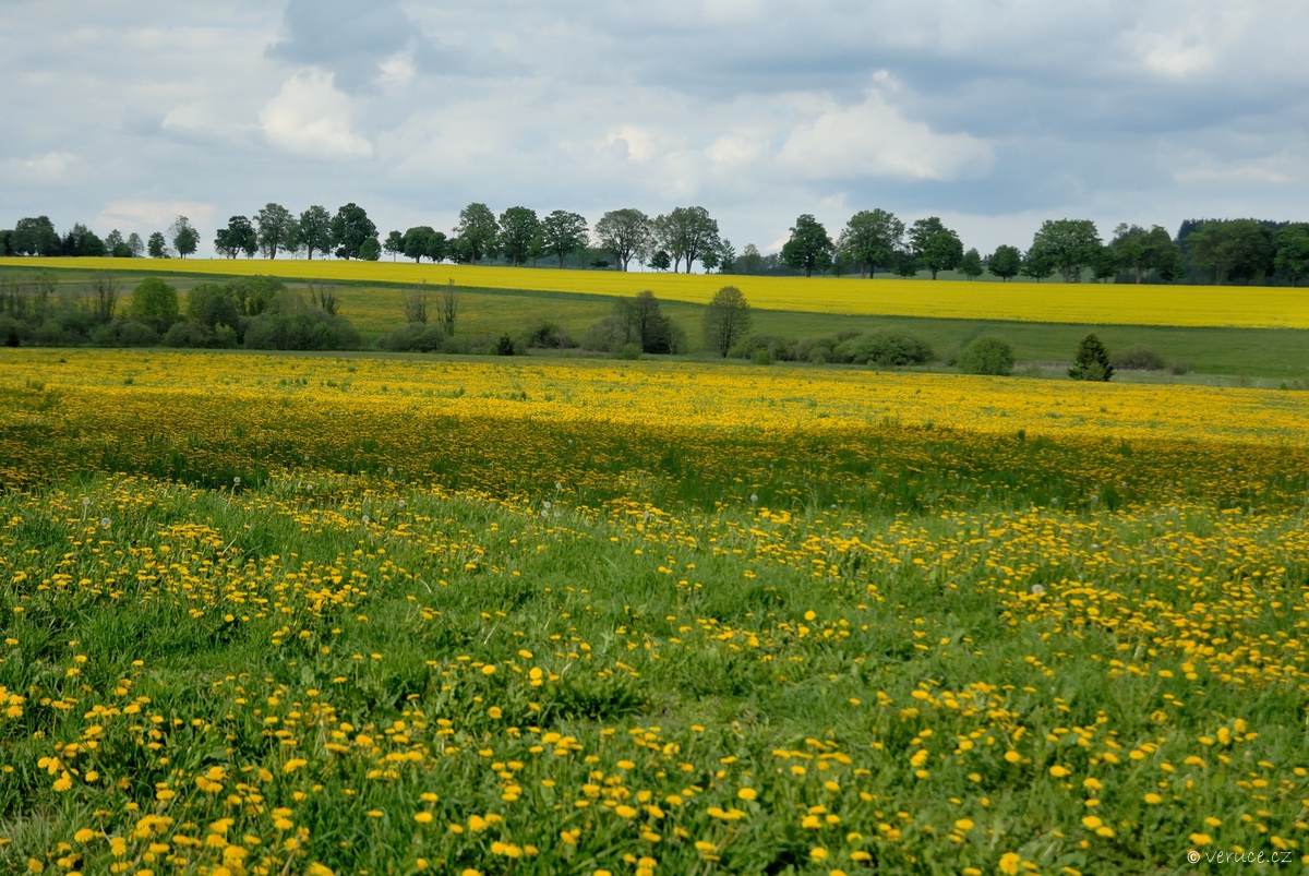 Vysocina 01