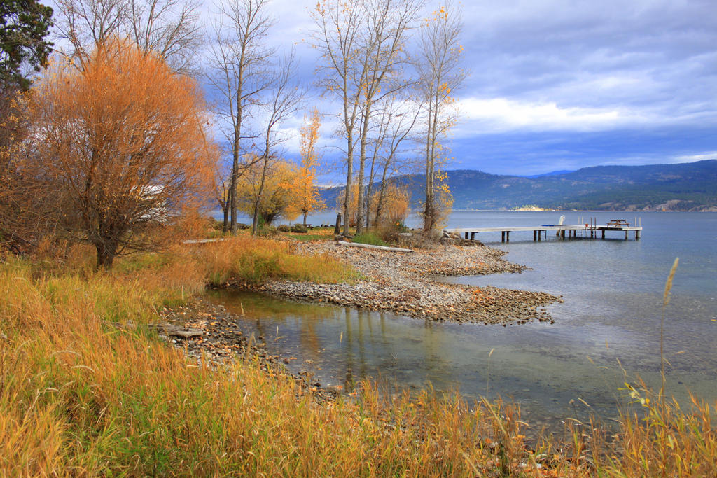 Okanagan Lake Nov. 2014 003