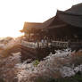 Kiyomizudera at sunset