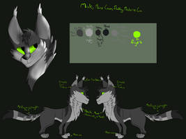 Steelheart-Refrence sheet