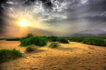 ya'aleeb by Baadi