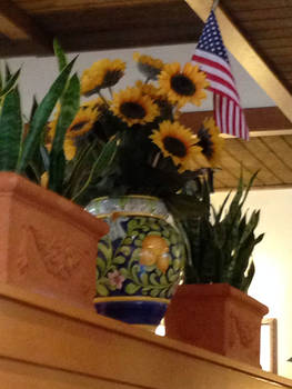 American flag in the sunflowers.