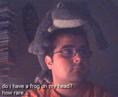 FROGS ARE EATING MY BRAIN